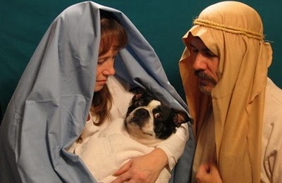 besinnungslos besinnlich.jpeg