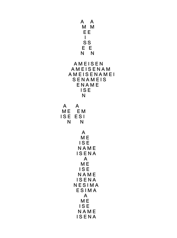 Ameisenbild©Andrea Grill_H800.jpg
